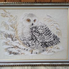 Работа «№94207»