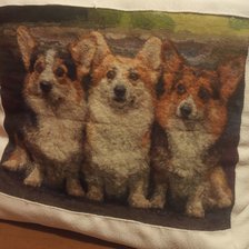 Работа «Корги»