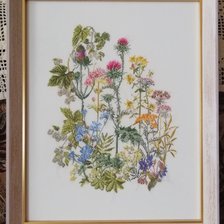 Работа «Куст Теа Гувернер»