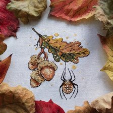 Работа «Паучок-крестовичок, LadyD»