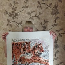 Работа «Амурские тигры»