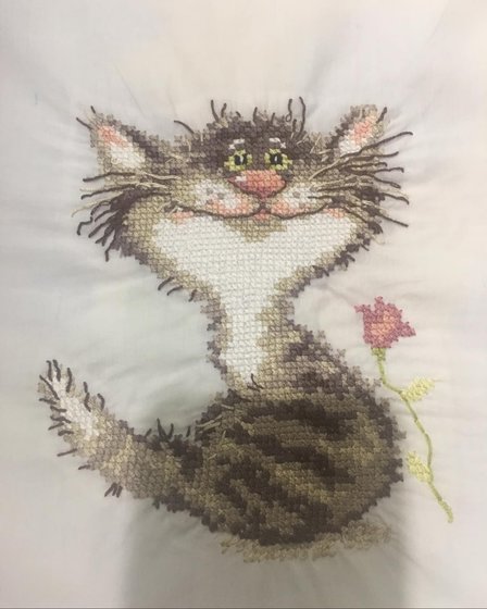 Работа «Просто кот»