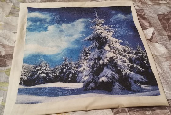 Работа «Зимний пейзаж»