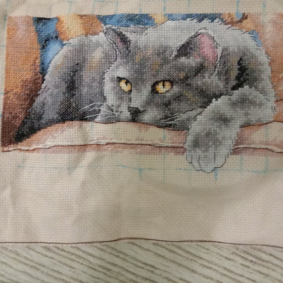 Работа «Кот Макс»