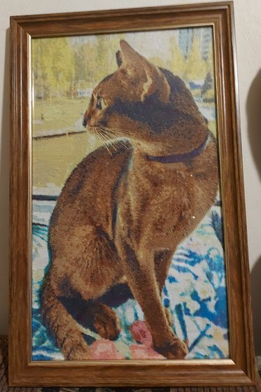 Работа «котик любимчик»