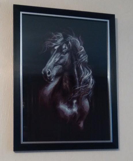 Работа «Ветер в гриве. Риолис.»