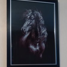 Работа «Ветер в гриве. Риолис.»