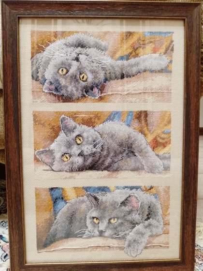 Работа «Кот Макс»