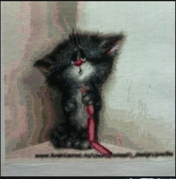 Работа «Котик»