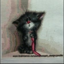 Работа «Котик»