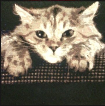 Работа «Грустим»