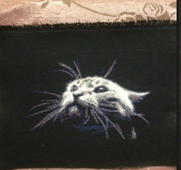 Работа «Моя Мотильда»