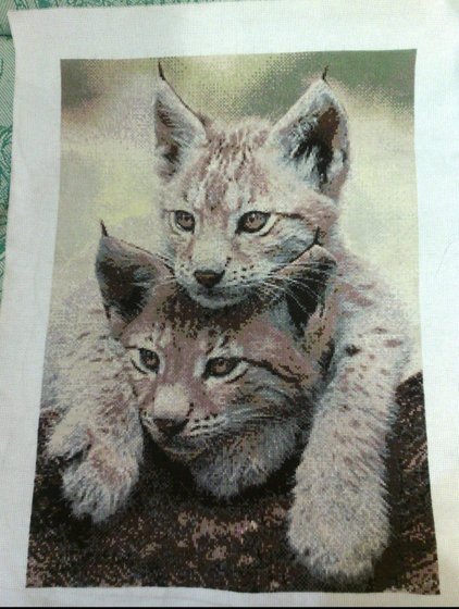 Работа «Рысята»