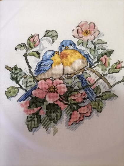 Работа «№94557»