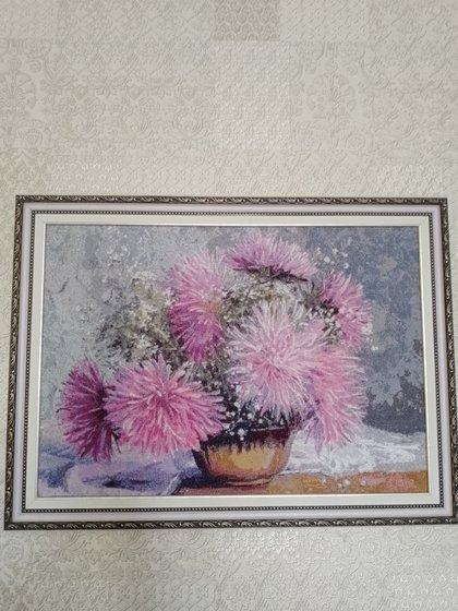 Работа «Астры»