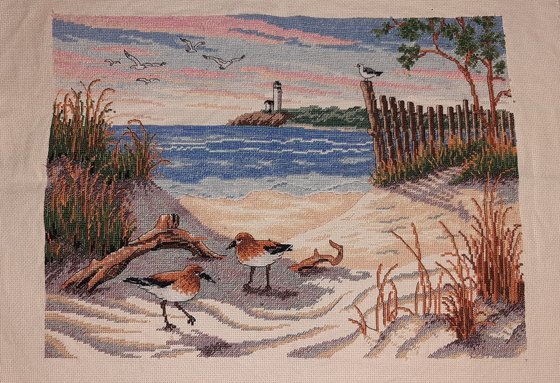 Работа «Красота пляжа»