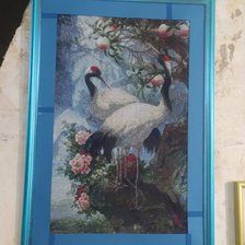 Работа «№94654»