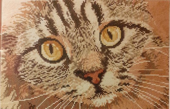 Работа «Барсик»