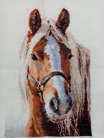 Работа «№94700»