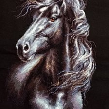 Работа «№94707»