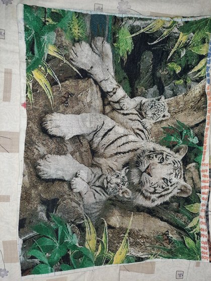 Работа «Тигры»