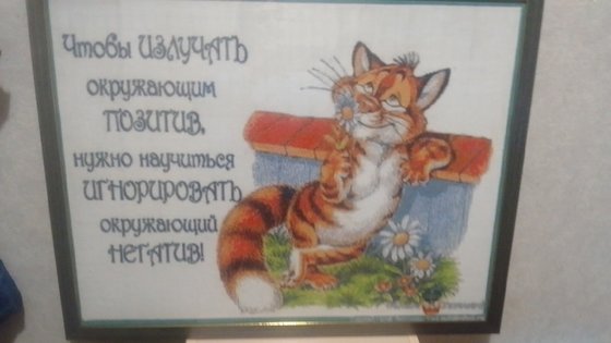 Работа «звери»