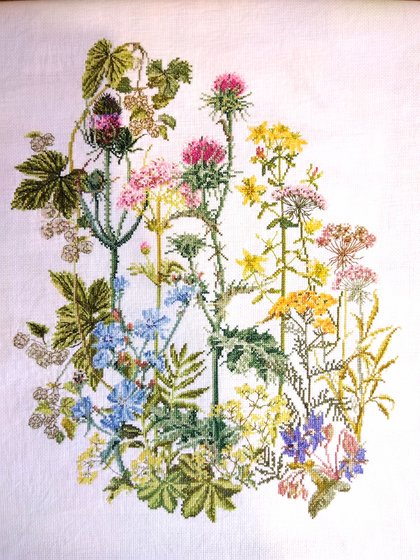 Работа «Лечебные травки»