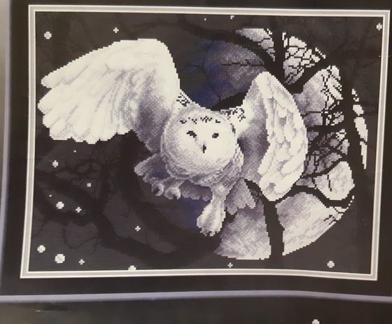 Работа «Белая Сова»