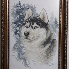 Работа «Хаски»