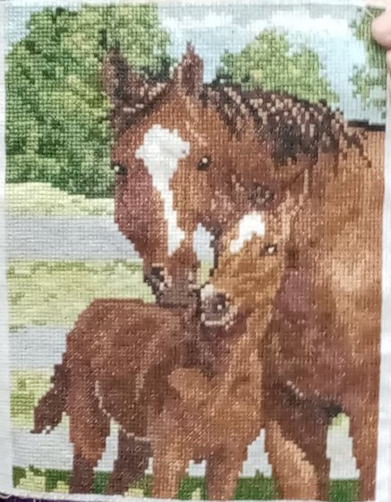 Работа «Жеребёнок с мамой»