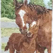 Работа «Жеребёнок с мамой»