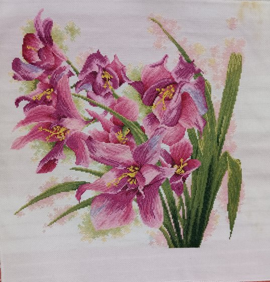 Работа «Прекрасные орхидеи»