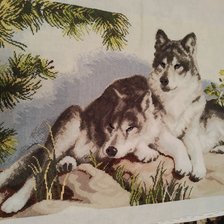 Работа «Волки»