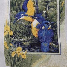 Работа «Колибри»