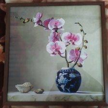 Работа «Орхидеи 2»