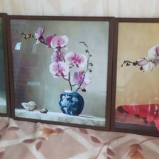 Работа «Орхидеи1 - 3»