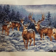 Работа «№95604»