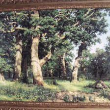 Работа «Дубовая роща.Шишкин»