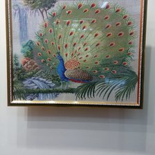 Работа «ПАВЛИН»