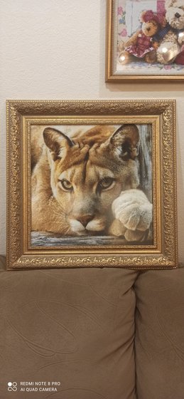 Работа «Взгляд пумы»