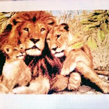 Работа «Львиная семья»