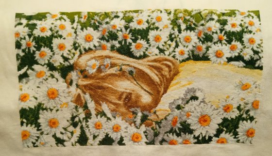 Работа «Ромашковая фея (27х44см,к.16, 27 цв.+6 смеш.)»