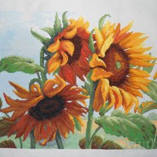 Работа «Осколки солнечного лета, Чаривна мить, 42х28см  аида 14»