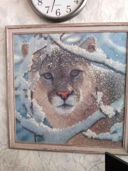 Работа «дикие»