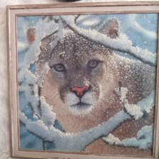 Работа «дикие»