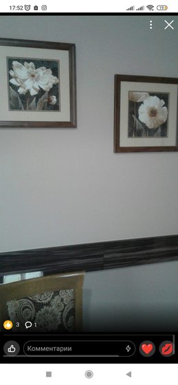 Работа «Пионы»