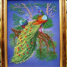 Работа «Павлины.»