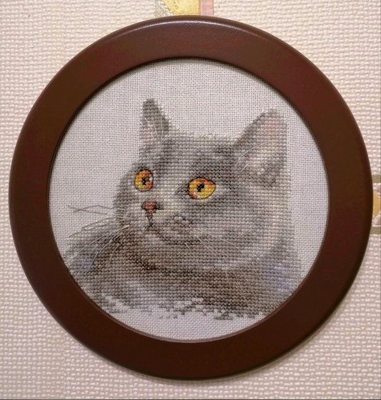 Работа «Британский кот»