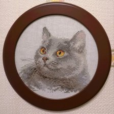 Работа «Британский кот»