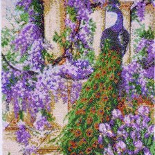 Работа «Павлин.»